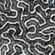 Illustration for article titled How Will We Even Know New Lifeforms When We See Them?